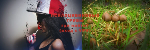 амфетамин Богородицк