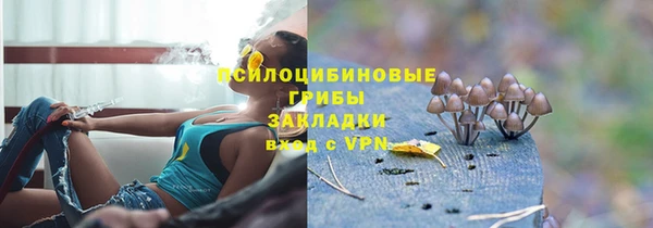 СК Богородск