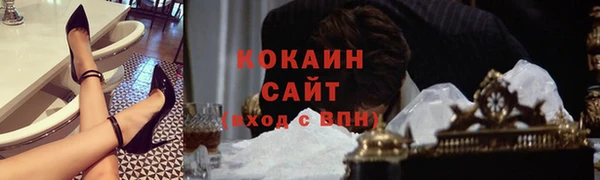 СК Богородск