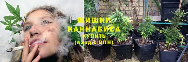 СК Богородск