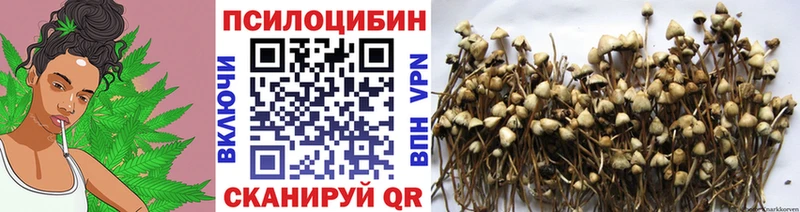 kraken   Шахты  Галлюциногенные грибы GOLDEN TEACHER 
